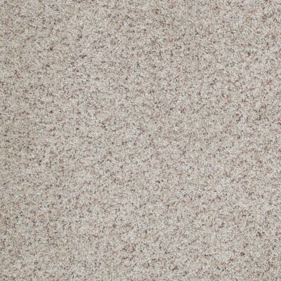 Shaw Floors Shaw Flooring Gallery Lucky You Apple Blossom 00150_5574G