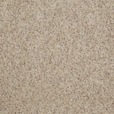 Shaw Floors Shaw Flooring Gallery Lucky You Knapsack 00154_5574G