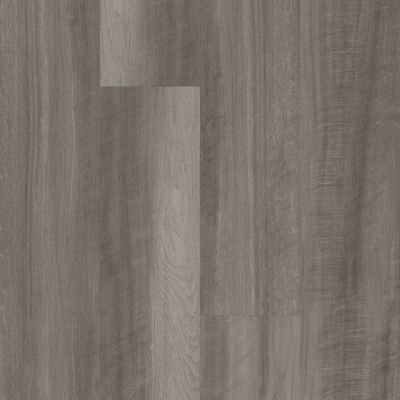 Philadelphia Commercial Resilient Commercial Fortitude Oyster Oak 00591_5601V