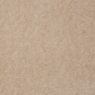 Shaw Floors Carpets Of Distinction Diamond Bar Malt 81159_57081
