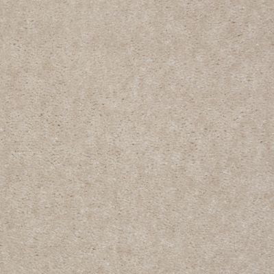 Shaw Floors Carpets Of Distinction Diamond Bar Barnboard 81160_57081