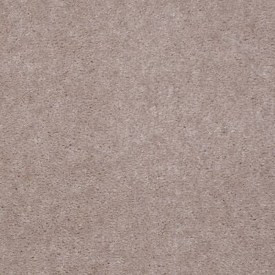 Shaw Floors Carpets Of Distinction Diamond Bar Light Cocoa 81162_57081