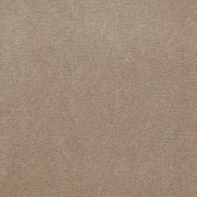 Shaw Contract No Collection Design Sr V 30 Twill 32110_5A032