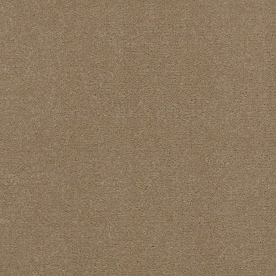 Shaw Contract No Collection Design Sr V 36 Twill 32110_5A033
