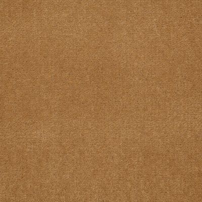 Shaw Contract No Collection Design Sr V 36 Sandalwood 32207_5A033