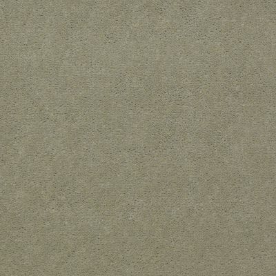 Shaw Contract No Collection Design Sr V 36 Exotic Seasalt 32322_5A033