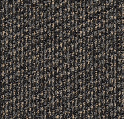 Shaw Contract Turn-key Terra Bl Black Gum 37500_5A037