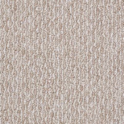 Shaw sales berber carpet