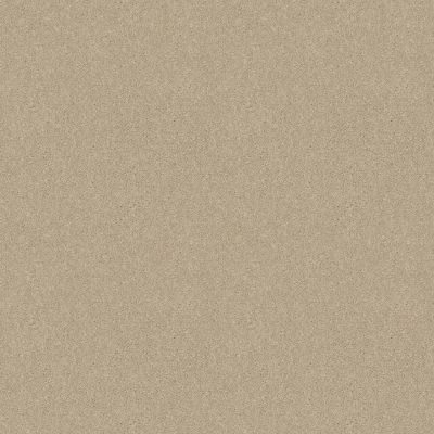 Shaw Floors Shaw Design Center Lacona 12′ Ivory Tint 55101_5C161