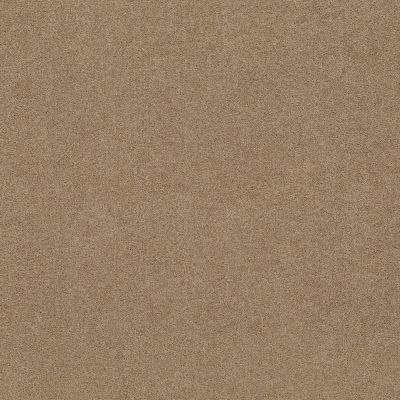 Shaw Floors Shaw Design Center Lacona 12′ Dusty Trail 55793_5C161