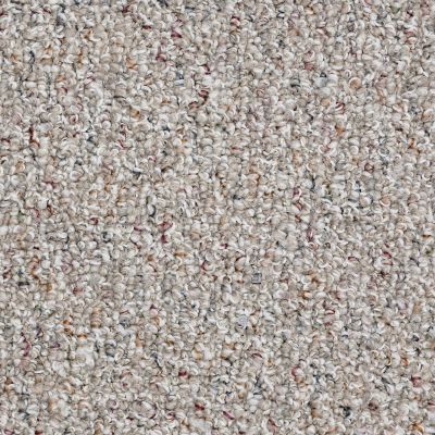 Shaw Floors Shaw Design Center Marley 12 Tweed 00300_5C265