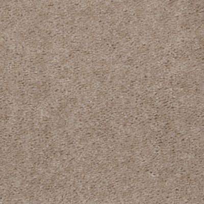 Shaw Floors Shaw Design Center Inspirational Ladys Choice 00116_5C329
