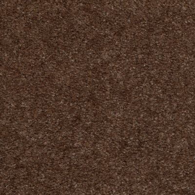 Shaw Floors Shaw Design Center Inspirational Spare Brown 00704_5C329