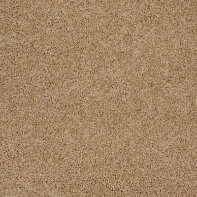 Shaw Floors Shaw Design Center Winters Home Filoli Honey 00201_5C582