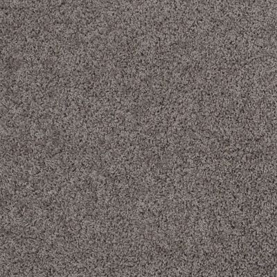 Shaw Floors Shaw Design Center Winters Home Silver Song 00500_5C582