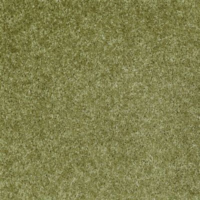 Shaw Floors Shaw Design Center Kentland 12′ Spring Valley 00300_5C599