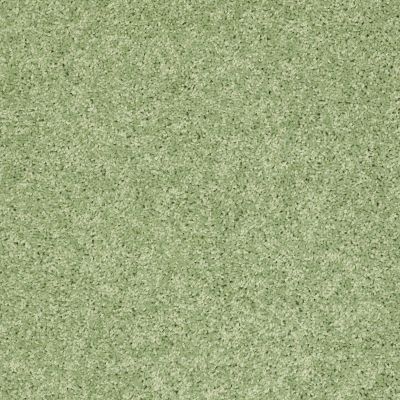 Shaw Floors Shaw Design Center Kid Crazy Limeade 00330_5C654