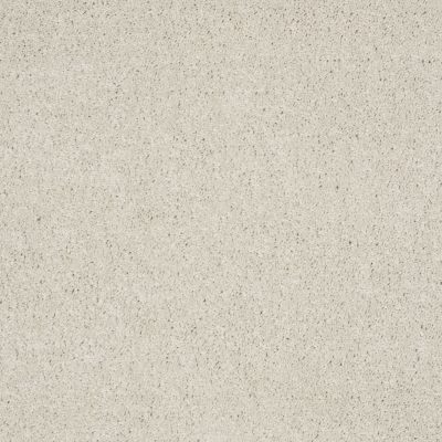 Shaw Floors Shaw Design Center Luxury Bay II Polar 00104_5C670