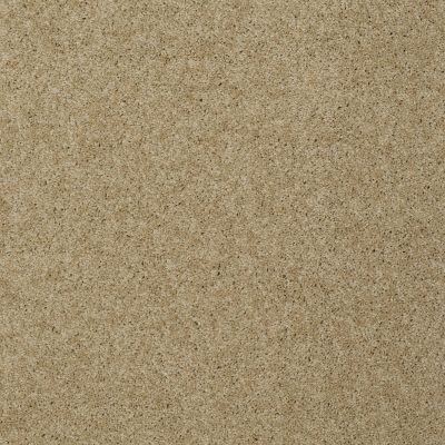 Shaw Floors Shaw Design Center Luxury Bay II Taffeta 00107_5C670