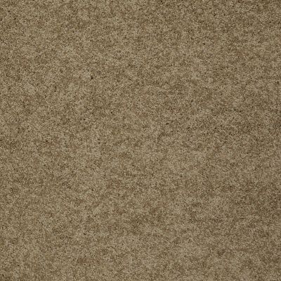 Shaw Floors Shaw Design Center Luxury Bay II Twig 00702_5C670