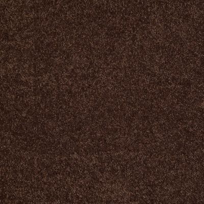 Shaw Floors Shaw Design Center Luxury Bay II Apple Butter 00728_5C670