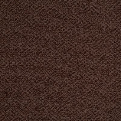 Shaw Floors Shaw Design Center Proven Identity Loop Apple Butter 00728_5C695