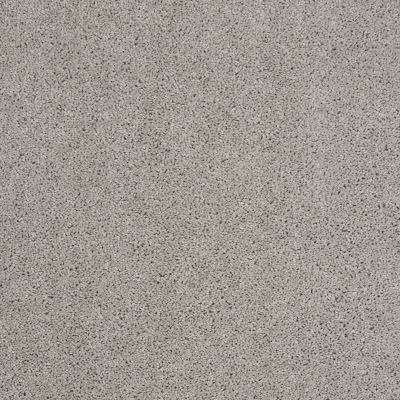 Shaw Floors Shaw Design Center Best Basics Sea Salt 00512_5C728