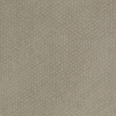 Shaw Floors Shaw Design Center Take Off Gray Flannel 00511_5C732
