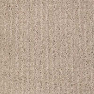 Shaw Floors Shaw Design Center Propel Frost 00104_5C733