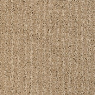Shaw Floors Shaw Design Center Propel Fieldstone 00105_5C733
