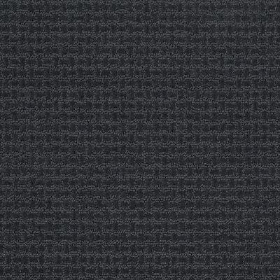 Shaw Floors Shaw Design Center Propel Indigo 00411_5C733
