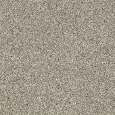 Shaw Floors Shaw Design Center Sun Drenched Gray Flannel 00511_5C740