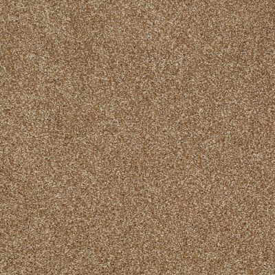 Shaw Floors Shaw Design Center Sun Drenched Leather Bound 00702_5C740