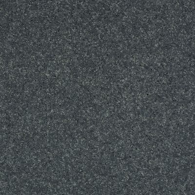 Shaw Floors Shaw Design Center Beautifully Simple II 12 Blue Lagoon 00301_5C747