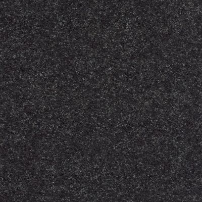 Shaw Floors Shaw Design Center Beautifully Simple II 12 Denim Days 00402_5C747