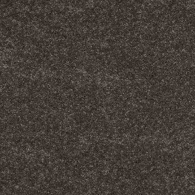 Shaw Floors Shaw Design Center Beautifully Simple II 12 Charcoal 00504_5C747