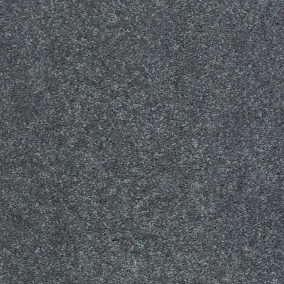 Shaw Floors Shaw Design Center Beautifully Simple I 15′ Charcoal 00504_5C751