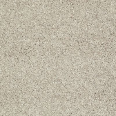 Shaw Floors Shaw Design Center Beautifully Simple I 15′ Natural Beige 00700_5C751