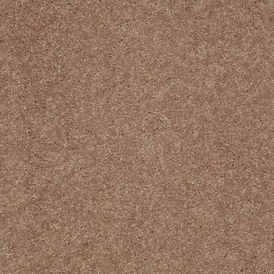 Shaw Floors Shaw Design Center Beautifully Simple I 15′ Pebble Creek 00701_5C751
