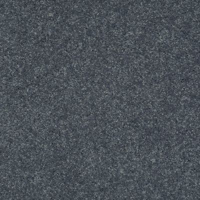 Shaw Floors Shaw Design Center Beautifully Simple II 15′ Pacific 00401_5C752