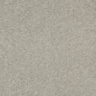 Shaw Floors Shaw Design Center Beautifully Simple II 15′ Dove Tail 00501_5C752