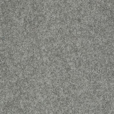 Shaw Floors Shaw Design Center My Destination I Charcoal 00551_5C775