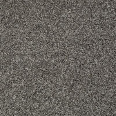 Shaw Floors Shaw Design Center My Destination I Graphite 00754_5C775