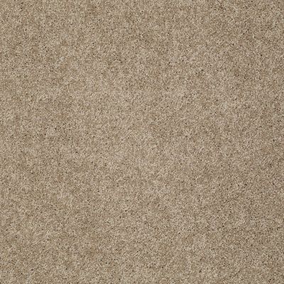 Shaw Floors Shaw Design Center My Destination I Cappuccino 00756_5C775