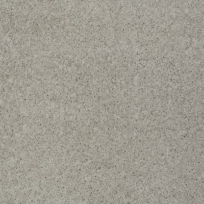 Shaw Floors Shaw Design Center My Destination II Textured Canvas 00150_5C776