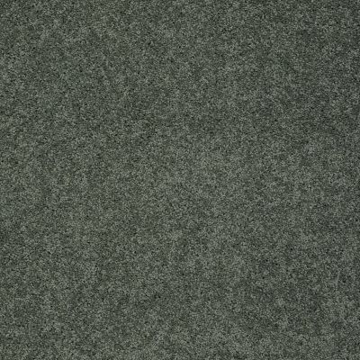 Shaw Floors Shaw Design Center My Destination II Bay Laurel 00351_5C776