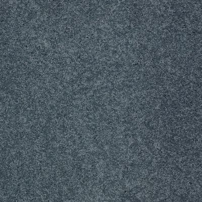 Shaw Floors Shaw Design Center My Destination II Old Blue Eyes 00450_5C776