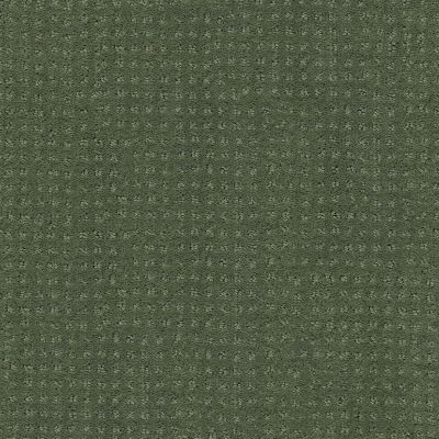 Shaw Floors Shaw Design Center My Destination Pattern Bay Laurel 00351_5C778