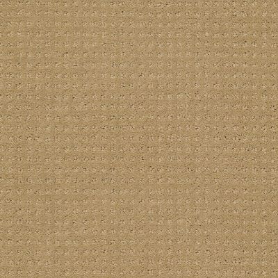 Shaw Floors Shaw Design Center My Destination Pattern Honey Pot 00722_5C778