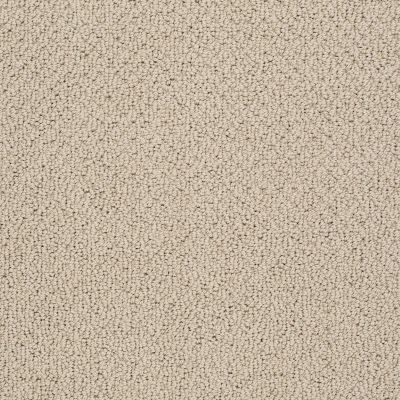 Shaw Floors Shaw Design Center True Reflections Loop Clay Stone 00108_5C782